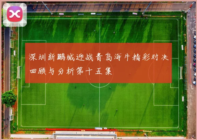 深圳新鹏城迎战青岛海牛精彩对决回顾与分析第十五集