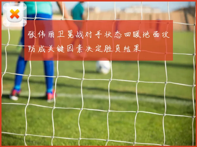 张伟丽卫冕战对手状态回暖地面攻防成关键因素决定胜负结果