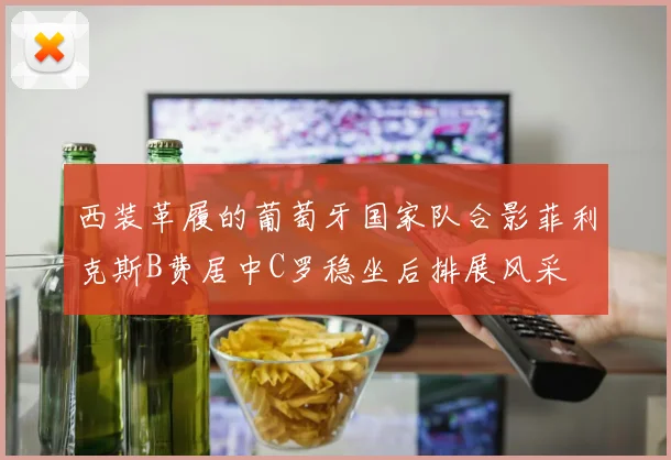 西装革履的葡萄牙国家队合影菲利克斯B费居中C罗稳坐后排展风采